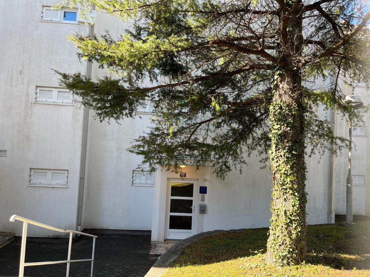 Apartman Maja セルツェ エクステリア 写真